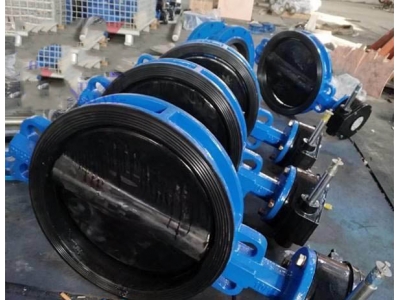 軟密封蝶閥有幾種類型？